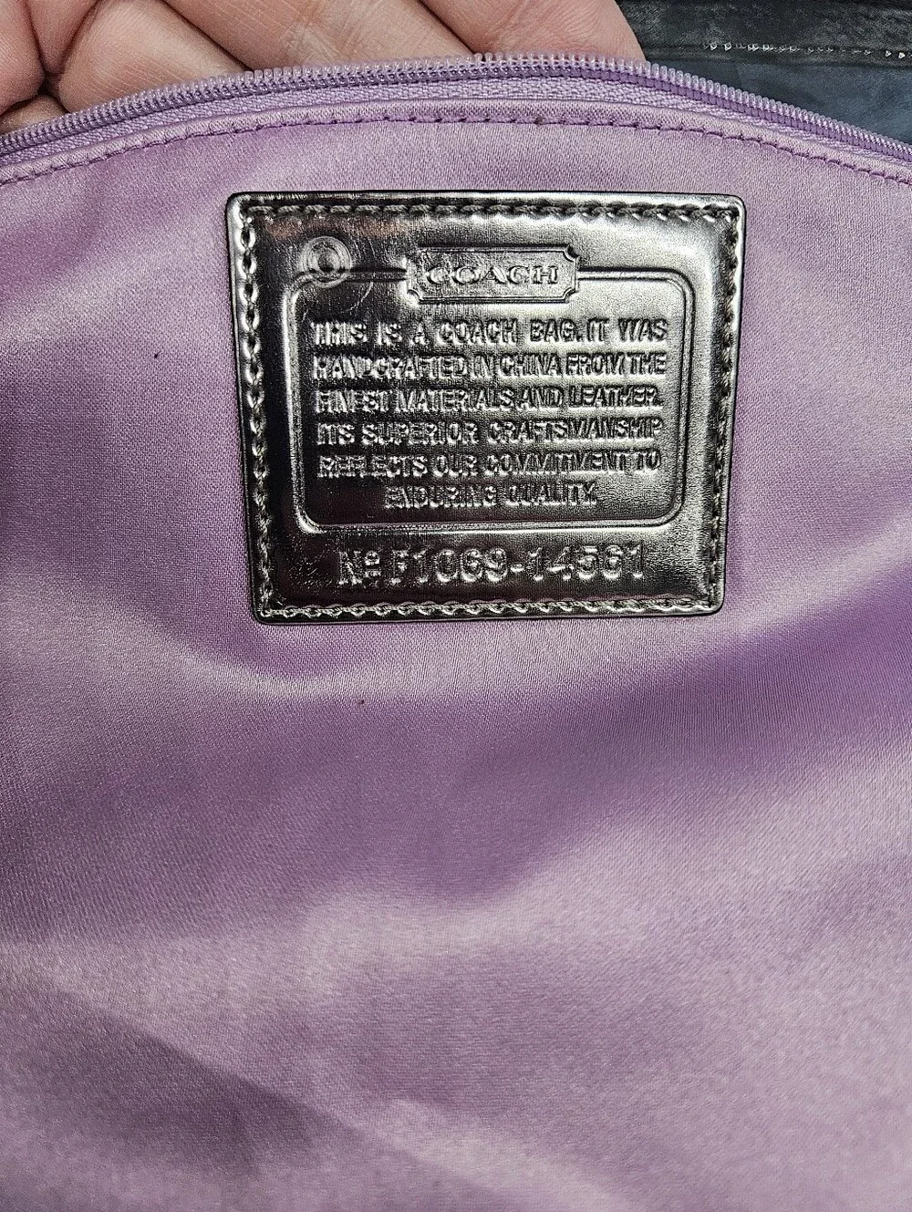 Coach Poppy Metallic Double Pocket Hobo